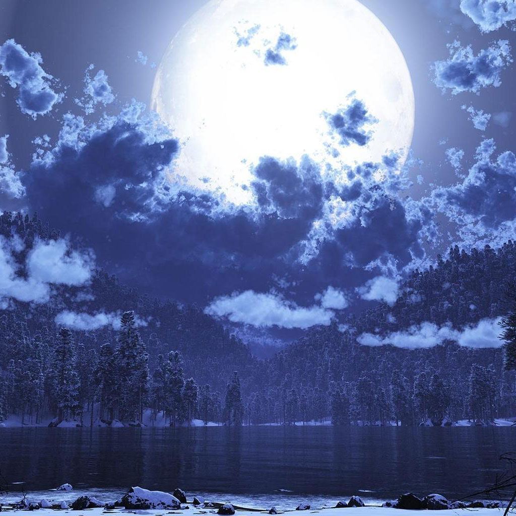 【星月】月光落入雪里白（外二首）（组诗）